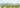 Seed fb header