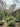 Mothers Garden