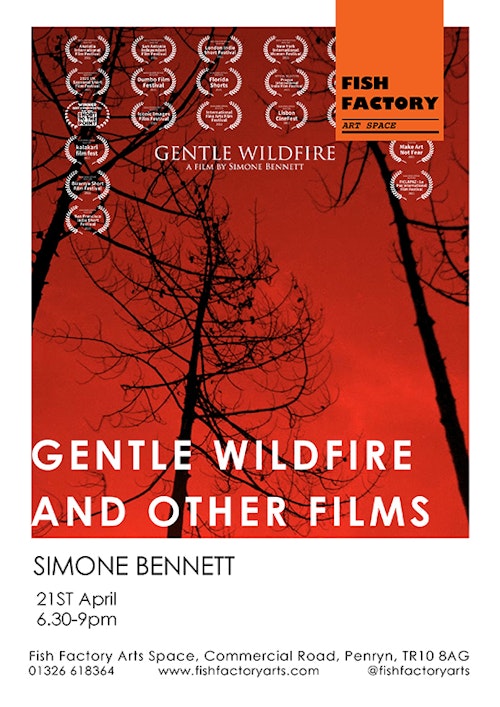 Gentle Wildfire72