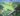 Mary Ann Mackenzie landscape course