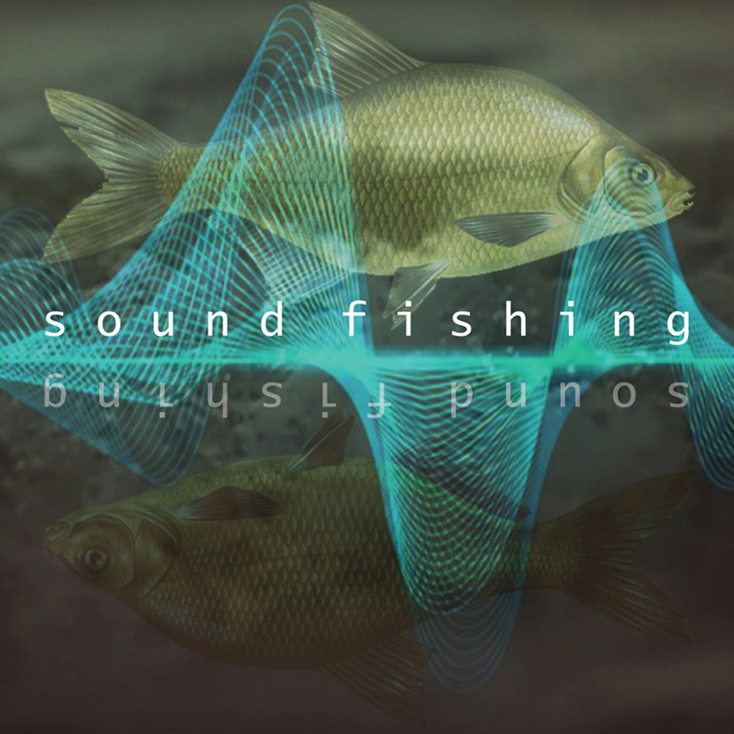Sound fishing L