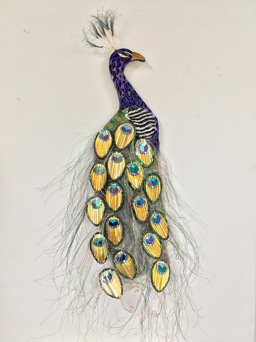 Peacock by Kate Rattray